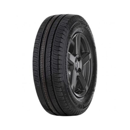 Goodyear EFFICIENTGRIP CARGO 2 205/65 R16 107/105T